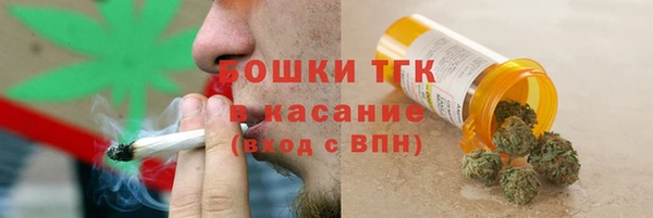 ешки Алексин