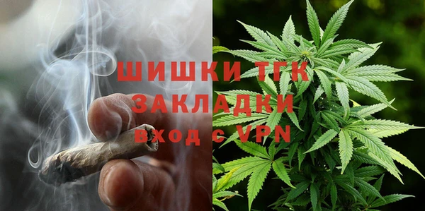 твердый Алзамай