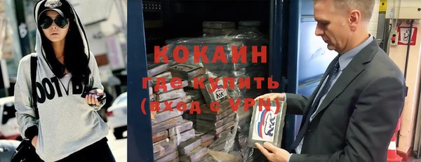 твердый Алзамай