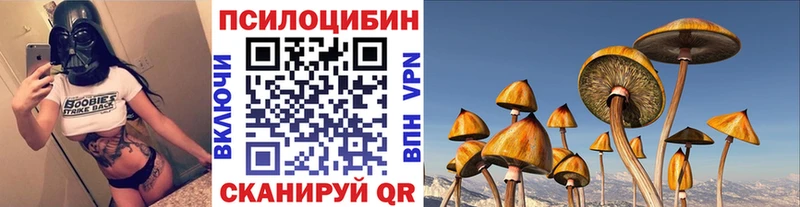 blacksprut сайт  даркнет сайт  Дзержинск  Псилоцибиновые грибы мицелий 