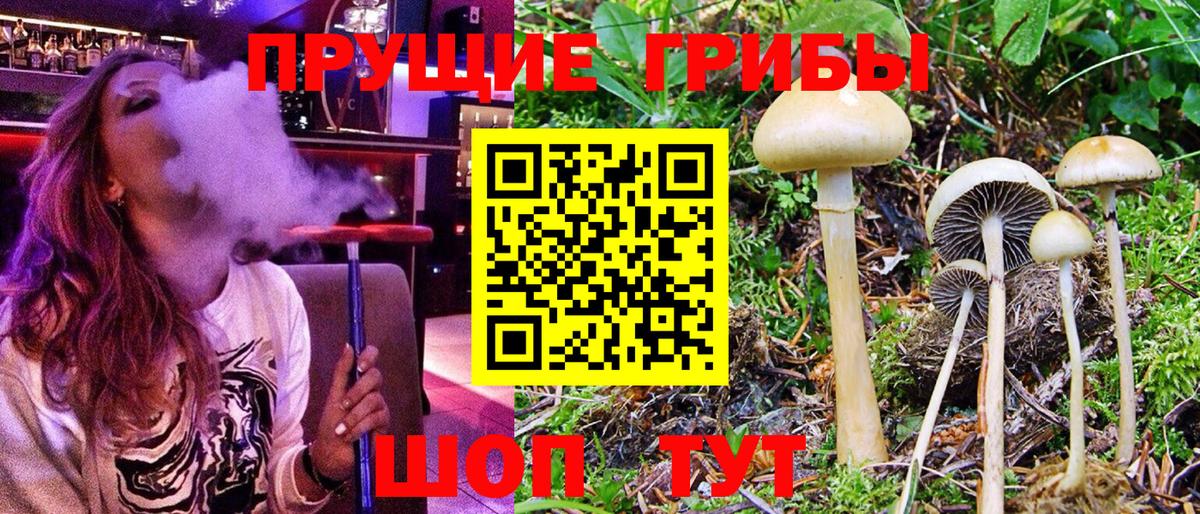 Дзержинск  Галлюциногенные грибы прущие грибы  Псилоцибиновые грибы Psilocybe  Вход с VPN 